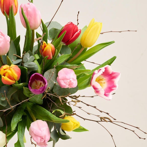 De farverige tulipaner